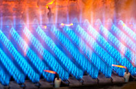 Lochty gas fired boilers